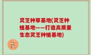 灵芝种草基地(灵芝种植基地——打造高质量生态灵芝种植基地)