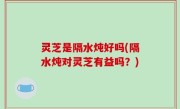 灵芝是隔水炖好吗(隔水炖对灵芝有益吗？)