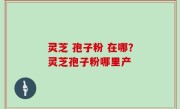 灵芝 孢子粉 在哪？灵芝孢子粉哪里产