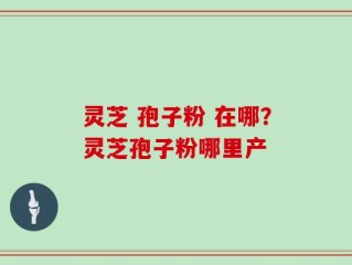 灵芝 孢子粉 在哪？灵芝孢子粉哪里产