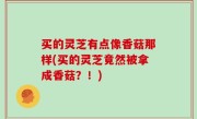 买的灵芝有点像香菇那样(买的灵芝竟然被拿成香菇？！)