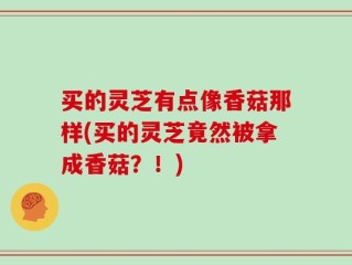 买的灵芝有点像香菇那样(买的灵芝竟然被拿成香菇？！)