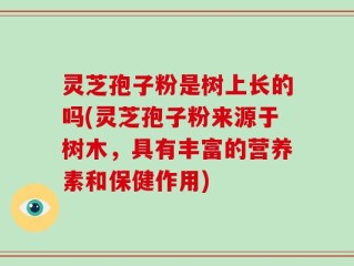 灵芝孢子粉是树上长的吗(灵芝孢子粉来源于树木，具有丰富的营养素和保健作用)