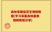 森林采蘑菇灵芝视频教程(学习采集森林菌类  视频教程分享)