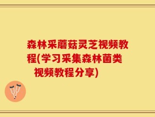 森林采蘑菇灵芝视频教程(学习采集森林菌类  视频教程分享)