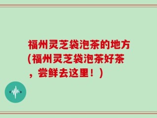 福州灵芝袋泡茶的地方(福州灵芝袋泡茶好茶，尝鲜去这里！)