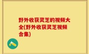 野外收获灵芝的视频大全(野外收获灵芝视频合集)