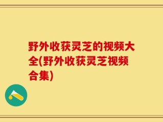 野外收获灵芝的视频大全(野外收获灵芝视频合集)