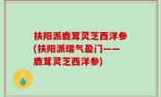 扶阳派鹿茸灵芝西洋参(扶阳派瑞气盈门——鹿茸灵芝西洋参)