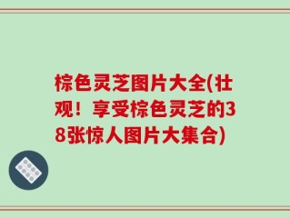 棕色灵芝图片大全(壮观！享受棕色灵芝的38张惊人图片大集合)