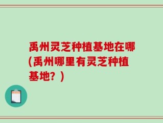 禹州灵芝种植基地在哪(禹州哪里有灵芝种植基地？)