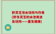野灵芝泡水功效与作用(野生灵芝的水泡用途及功效——重生健康)