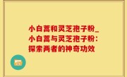 小白蒿和灵芝孢子粉_小白蒿与灵芝孢子粉：探索两者的神奇功效