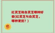 红灵芝和白灵芝哪种好些(红灵芝与白灵芝，哪种更优？)