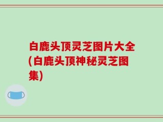 白鹿头顶灵芝图片大全(白鹿头顶神秘灵芝图集)