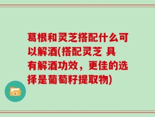 葛根和灵芝搭配什么可以解酒(搭配灵芝 具有解酒功效，更佳的选择是葡萄籽提取物)