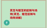 灵芝与翅芝的区别与功效(灵芝、翅芝区别与功效详解)