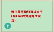 野生灵芝孕妇可以吃不(孕妇可以食用野生灵芝)