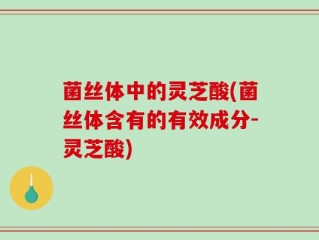 菌丝体中的灵芝酸(菌丝体含有的有效成分-灵芝酸)