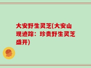 大安野生灵芝(大安山现迹踪：珍贵野生灵芝盛开)