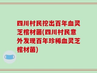 四川村民挖出百年血灵芝棺材菌(四川村民意外发现百年珍稀血灵芝棺材菌)