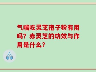 气喘吃灵芝孢子粉有用吗？赤灵芝的功效与作用是什么？