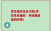 灵芝喜欢生长习性(灵芝生长偏好：寻找最适宜的环境)