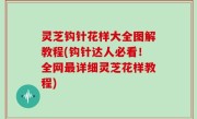 灵芝钩针花样大全图解教程(钩针达人必看！全网最详细灵芝花样教程)