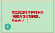 破壁灵芝孢子粉的小燕(燕窝内饰掀新风潮，燕窝火了！)