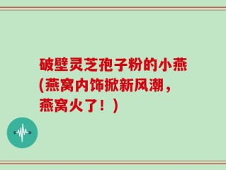 破壁灵芝孢子粉的小燕(燕窝内饰掀新风潮，燕窝火了！)