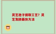 灵芝孢子提取工艺？灵芝发酵最快方法