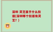 深圳 灵芝属于什么街道(深圳哪个街道有灵芝？)