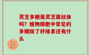 灵芝多糖是灵芝菌丝体吗？植物细胞中常见的多糖除了纤维素还有什么