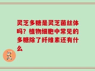 灵芝多糖是灵芝菌丝体吗？植物细胞中常见的多糖除了纤维素还有什么