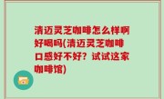 清迈灵芝咖啡怎么样啊好喝吗(清迈灵芝咖啡口感好不好？试试这家咖啡馆)