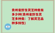 贵州省野生灵芝种类有多少种(贵州省野生灵芝多种类：了解灵芝品种多样性)