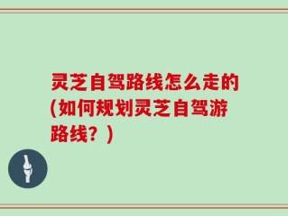 灵芝自驾路线怎么走的(如何规划灵芝自驾游路线？)