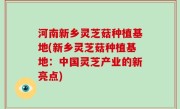 河南新乡灵芝菇种植基地(新乡灵芝菇种植基地：中国灵芝产业的新亮点)