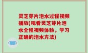 灵芝芽片泡水过程视频播放(观看灵芝芽片泡水全程视频体验，学习正确的泡水方法)