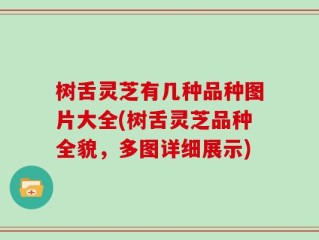 树舌灵芝有几种品种图片大全(树舌灵芝品种全貌，多图详细展示)