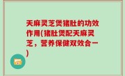 天麻灵芝煲猪肚的功效作用(猪肚煲配天麻灵芝，营养保健双效合一)