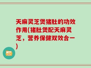 天麻灵芝煲猪肚的功效作用(猪肚煲配天麻灵芝，营养保健双效合一)