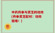 中药丹参与灵芝的功效(丹参灵芝配对：功效倍增！)