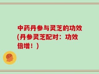中药丹参与灵芝的功效(丹参灵芝配对：功效倍增！)