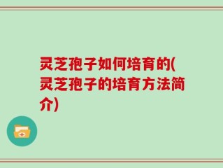 灵芝孢子如何培育的(灵芝孢子的培育方法简介)