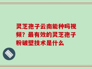 灵芝孢子云南能种吗视频？最有效的灵芝孢子粉破壁技术是什么