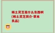 稀土灵芝是什么东西啊(稀土灵芝简介-草本良品)