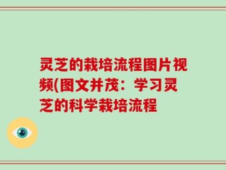 灵芝的栽培流程图片视频(图文并茂：学习灵芝的科学栽培流程