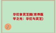 华佗拿灵芝图(世界医学之光：华佗与灵芝)