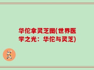 华佗拿灵芝图(世界医学之光：华佗与灵芝)